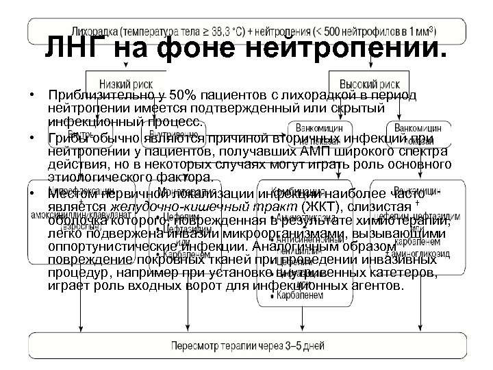 ЛНГ на фоне нейтропении. • Приблизительно у 50% пациентов с лихорадкой в период нейтропении