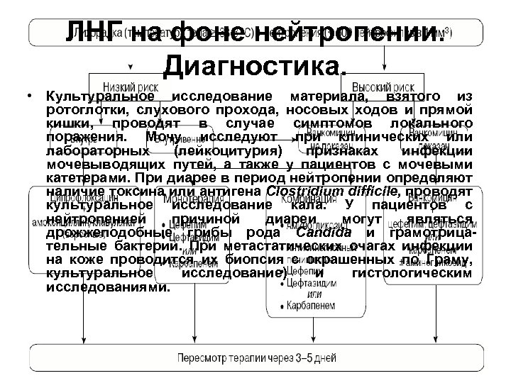 ЛНГ на фоне нейтропении. Диагностика. • Культуральное исследование материала, взятого из ротоглотки, слухового прохода,