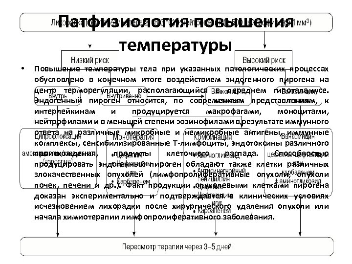 Патфизиология повышения температуры • Повышение температуры тела при указанных патологических процессах обусловлено в конечном
