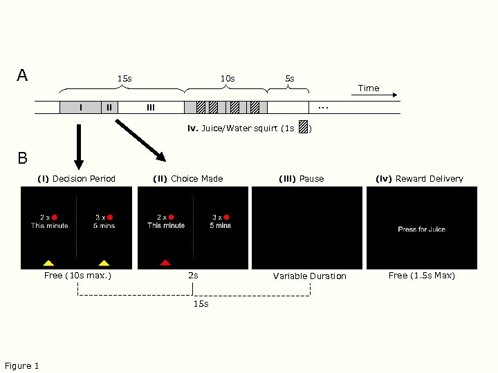 A 15 s i ii 10 s 5 s Time … iii iv. Juice/Water
