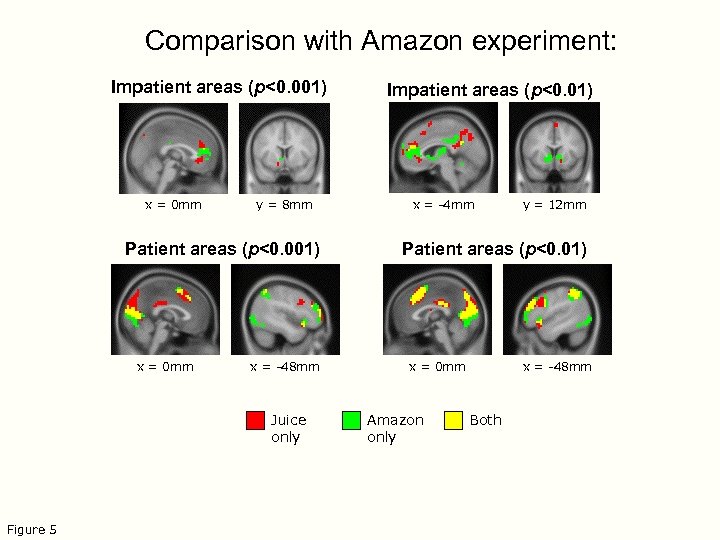 Comparison with Amazon experiment: Impatient areas (p<0. 001) x = 0 mm y =