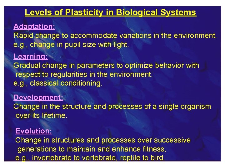 Levels of Plasticity in Biological Systems Adaptation: Rapid change to accommodate variations in the