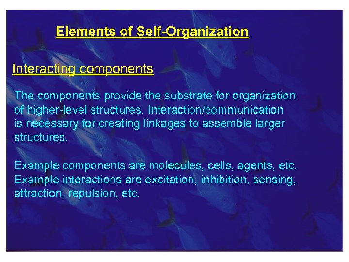 Elements of Self-Organization Interacting components The components provide the substrate for organization of higher-level