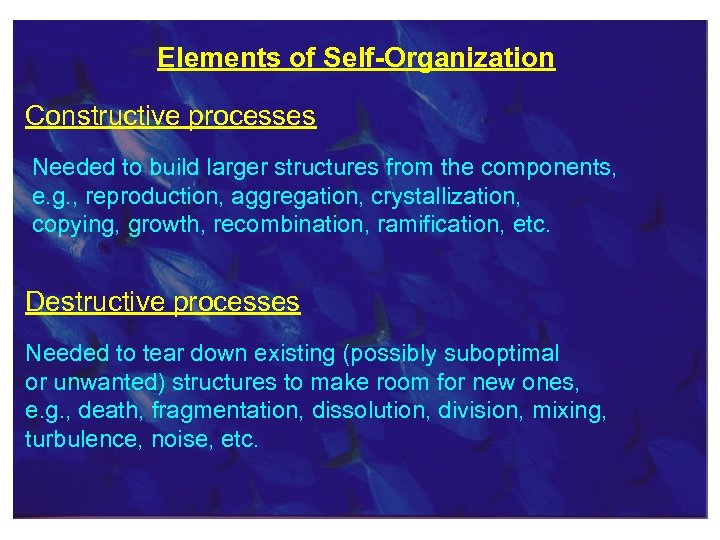 Elements of Self-Organization Constructive processes Needed to build larger structures from the components, e.