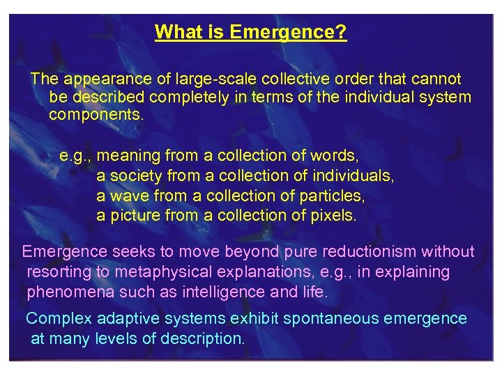 What is Emergence? The appearance of large-scale collective order that cannot be described completely