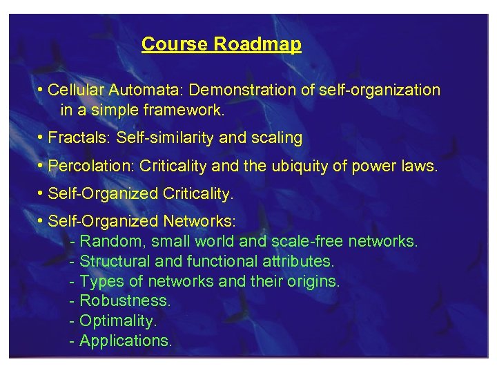 Course Roadmap • Cellular Automata: Demonstration of self-organization in a simple framework. • Fractals:
