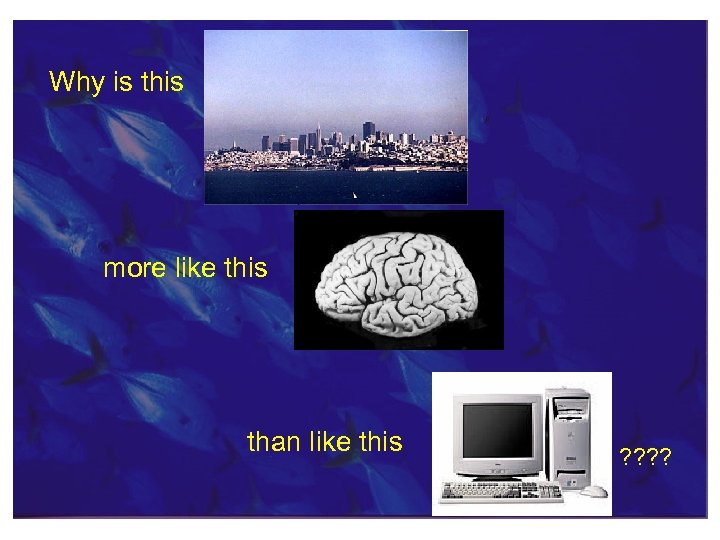 Why is this more like this than like this ? ? 