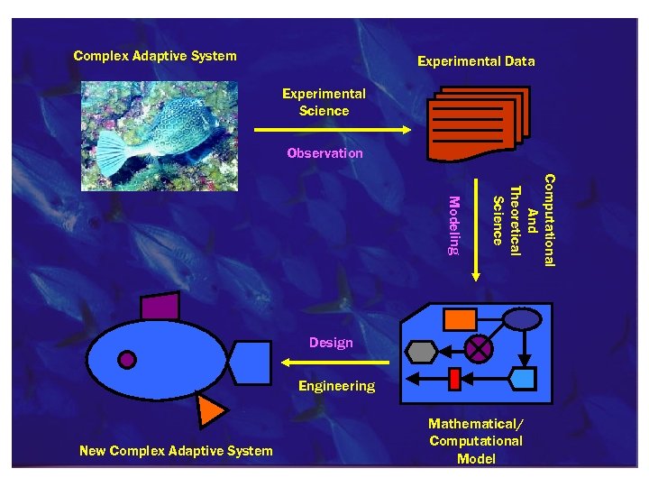Complex Adaptive System Experimental Data Experimental Science Observation Computational And Theoretical Science Modeling Design