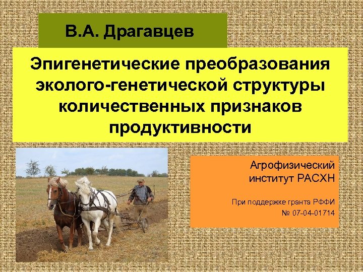 В. А. Драгавцев Эпигенетические преобразования эколого-генетической структуры количественных признаков продуктивности Агрофизический институт РАСХН При