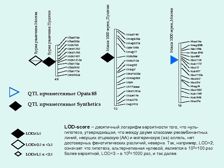 Xksud 14 d Xmwg 938 a Xmwg 837 a Xabc 156 b Xmwg 77