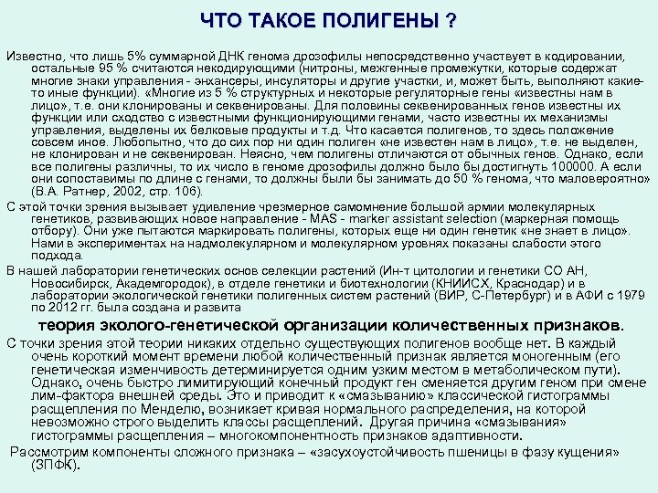 ЧТО ТАКОЕ ПОЛИГЕНЫ ? Известно, что лишь 5% суммарной ДНК генома дрозофилы непосредственно участвует