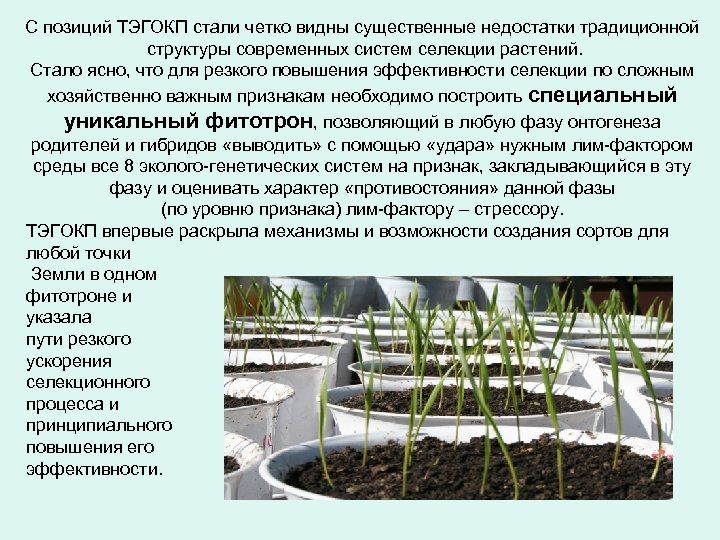 С позиций ТЭГОКП стали четко видны существенные недостатки традиционной структуры современных систем селекции растений.