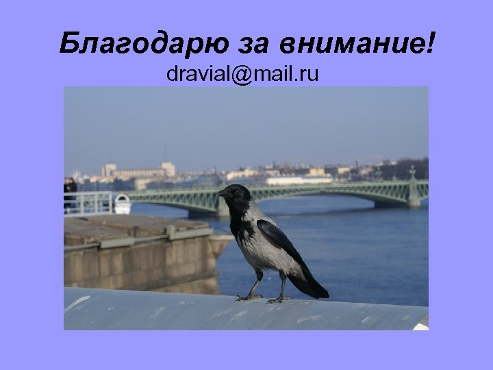 Благодарю за внимание! dravial@mail. ru 
