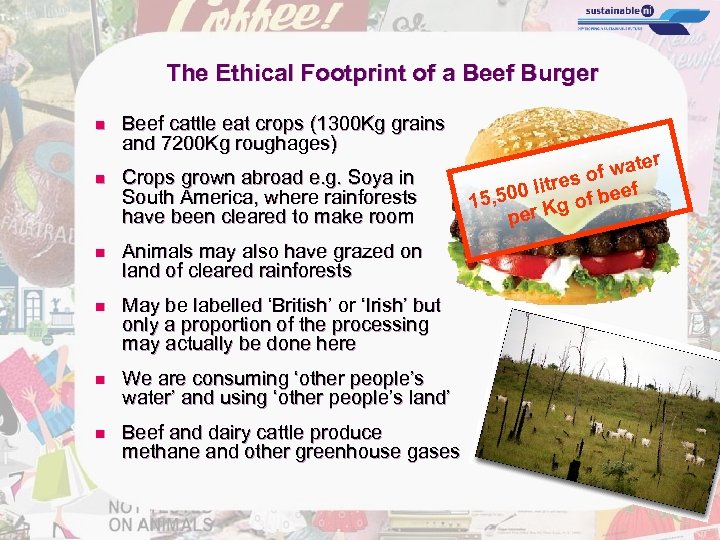 The Ethical Footprint of a Beef Burger n Beef cattle eat crops (1300 Kg