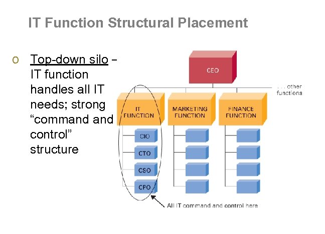 IT Function Structural Placement o Top-down silo – IT function handles all IT needs;