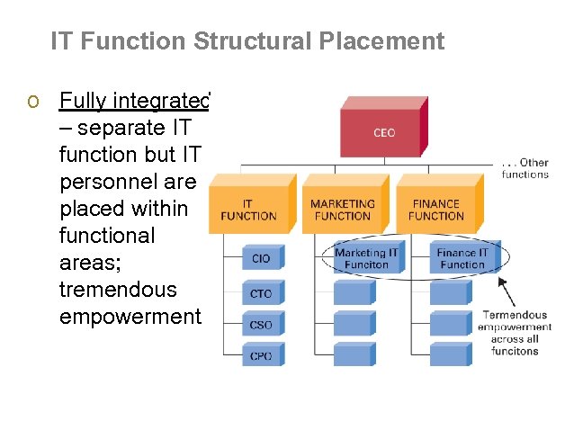 IT Function Structural Placement o Fully integrated – separate IT function but IT personnel