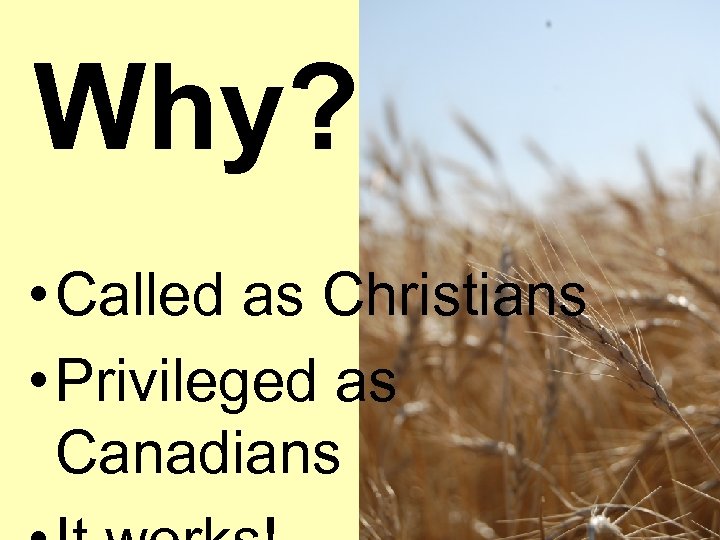 Why? • Called as Christians • Privileged as Canadians 