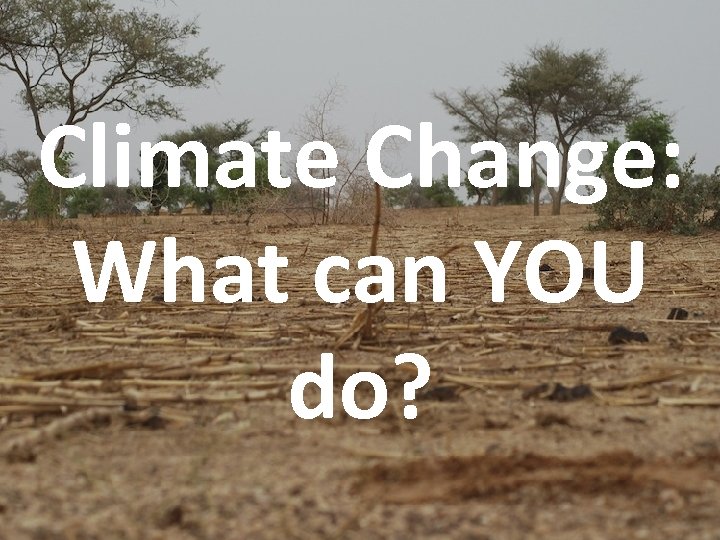 Climate Change: What can YOU do? 