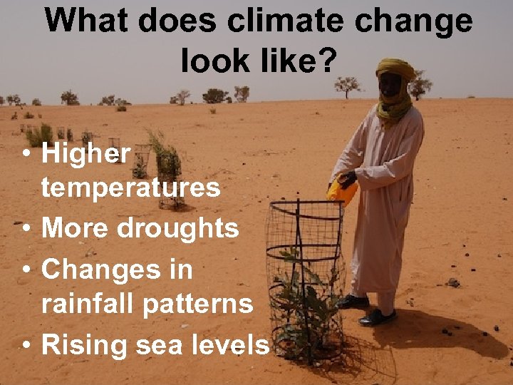 What does climate change look like? • Higher temperatures • More droughts • Changes