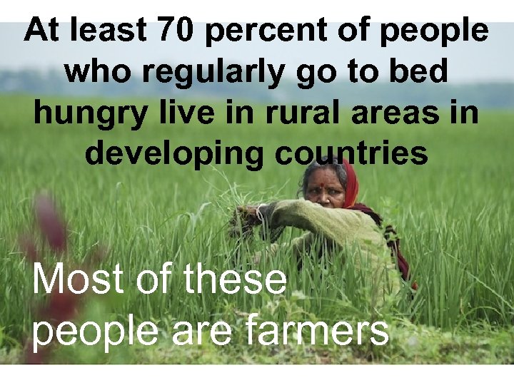 At least 70 percent of people who regularly go to bed hungry live in