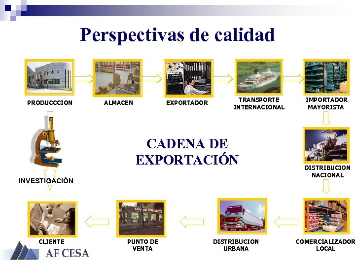 Perspectivas de calidad PRODUCCCION ALMACEN EXPORTADOR TRANSPORTE INTERNACIONAL CADENA DE EXPORTACIÓN INVESTIGACIÓN CLIENTE PUNTO