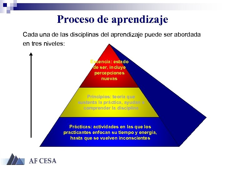 Proceso de aprendizaje Cada una de las disciplinas del aprendizaje puede ser abordada en