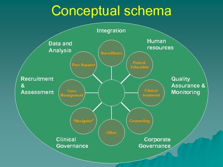 Conceptual schema Integration Human resources Data and Analysis Surveillance Patient Education Peer Support Recruitment