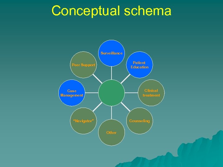 Conceptual schema Surveillance Patient Education Peer Support Clinical treatment Case Management Counseling “Navigator” Other