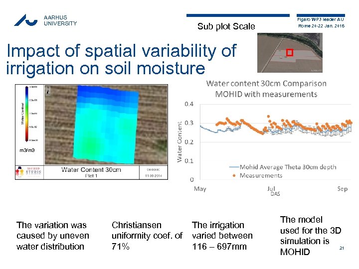 AARHUS UNIVERSITY Sub plot Scale Figaro WP 3 leader AU Rome 20 -22 Jan.