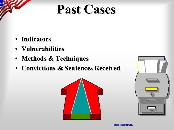 Past Cases • • Indicators Vulnerabilities Methods & Techniques Convictions & Sentences Received TSG