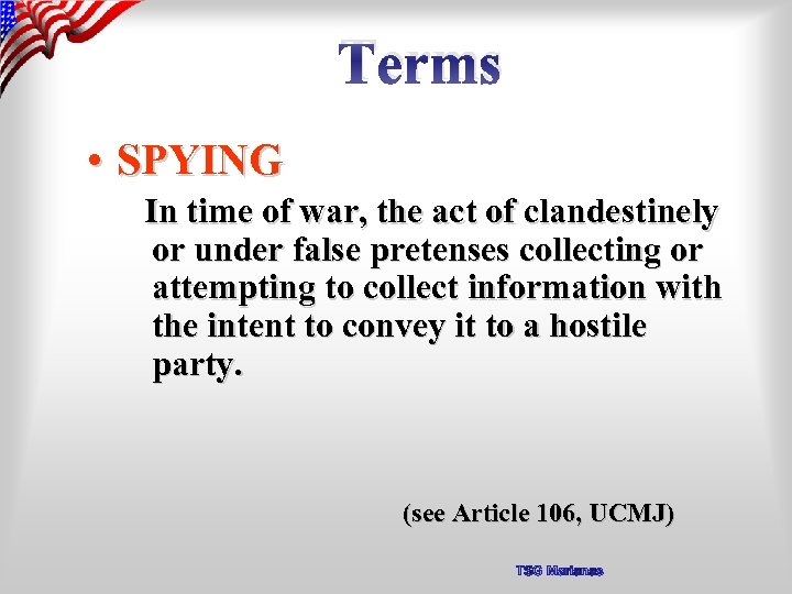 Terms • SPYING In time of war, the act of clandestinely or under false