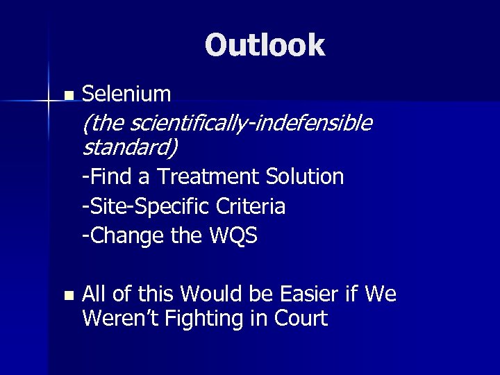 Outlook n Selenium (the scientifically-indefensible standard) -Find a Treatment Solution -Site-Specific Criteria -Change the