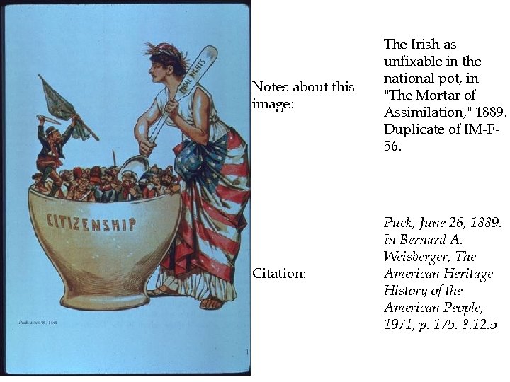 Notes about this image: The Irish as unfixable in the national pot, in 