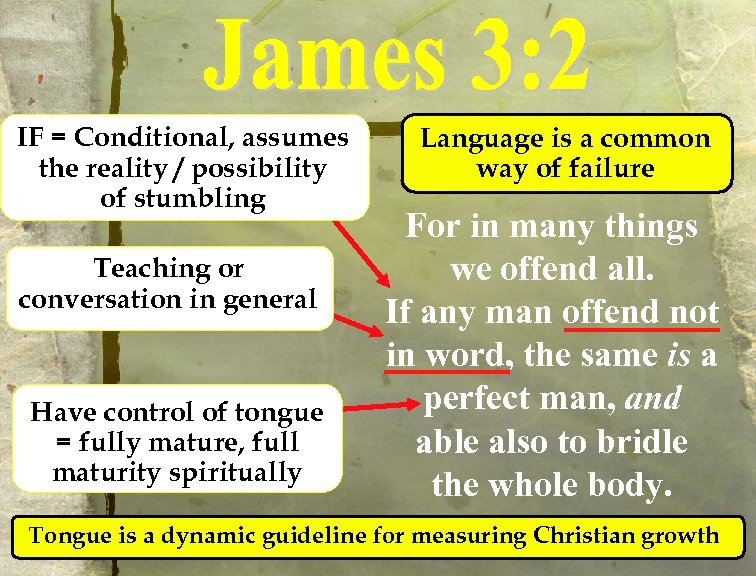 IF = Conditional, assumes the reality / possibility of stumbling Teaching or conversation in