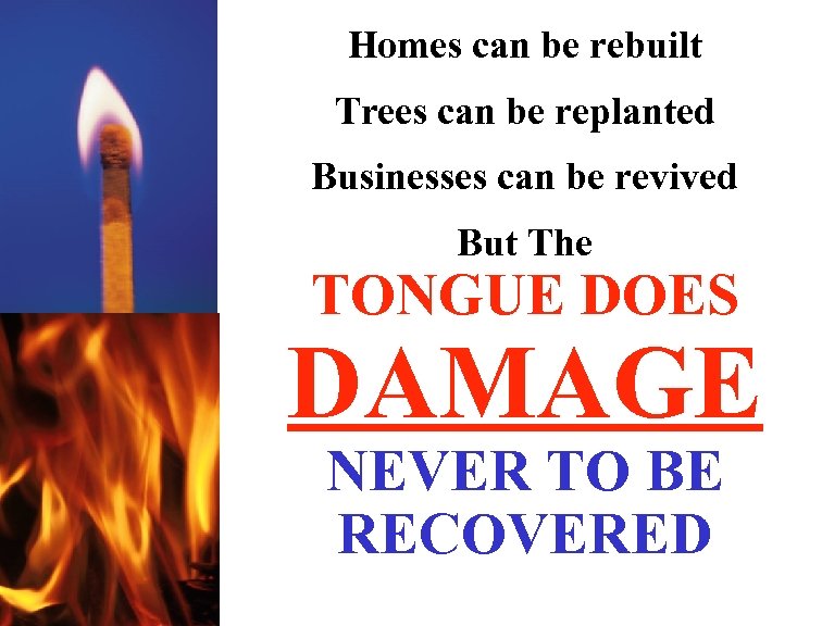 Homes can be rebuilt Trees can be replanted Businesses can be revived But The