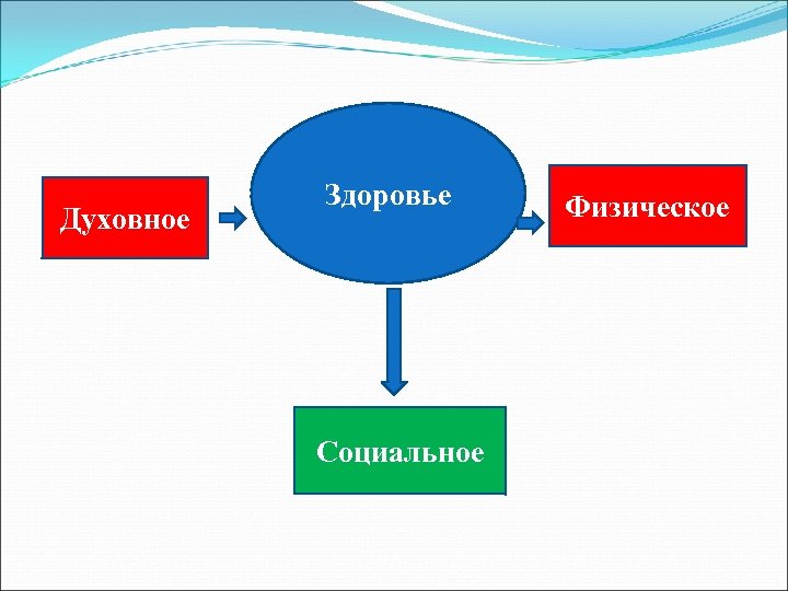 Духовное Здоровье Социальное Физическое 