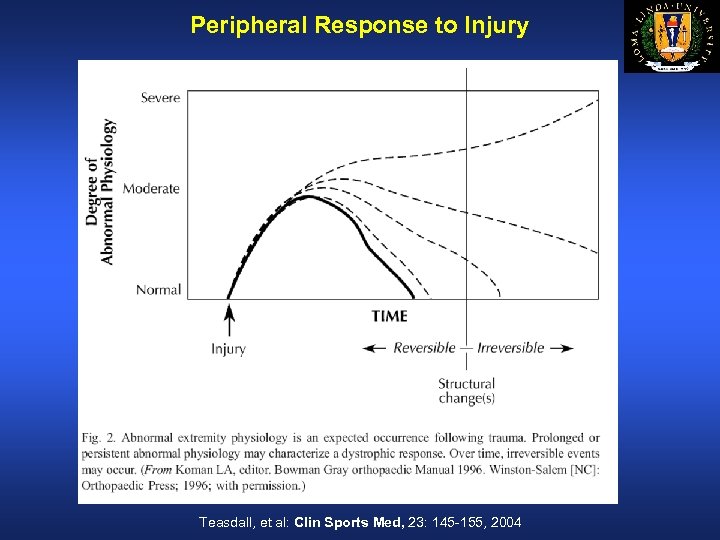 Peripheral Response to Injury Teasdall, et al: Clin Sports Med, 23: 145 -155, 2004
