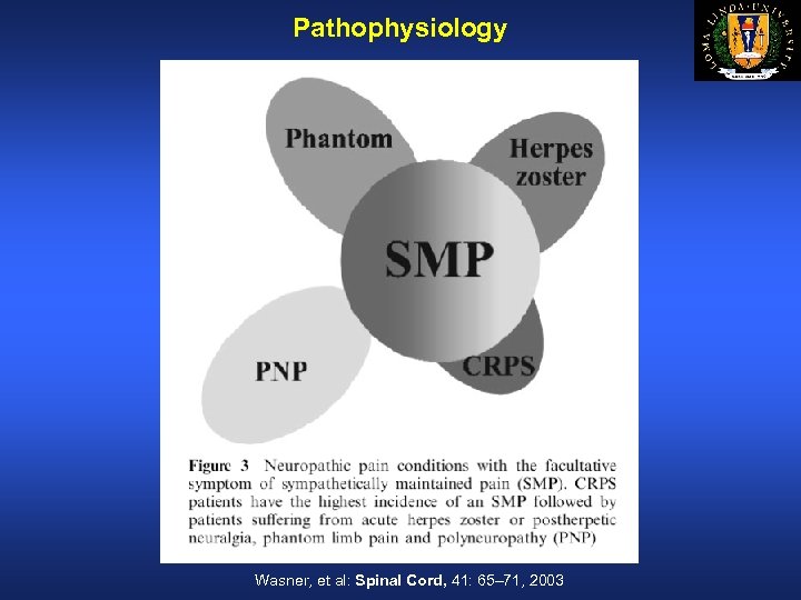 Pathophysiology Wasner, et al: Spinal Cord, 41: 65– 71, 2003 