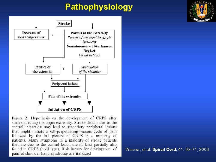 Pathophysiology Wasner, et al: Spinal Cord, 41: 65– 71, 2003 
