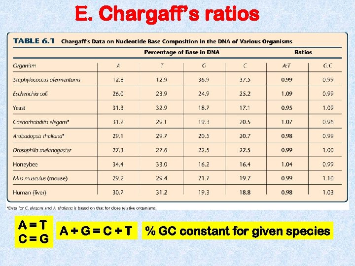 E. Chargaff’s ratios A=T A+G=C+T C=G % GC constant for given species 