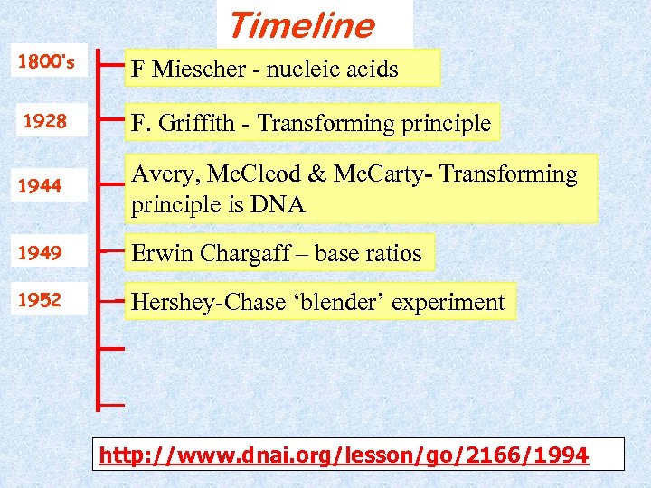 Timeline 1800’s F Miescher - nucleic acids 1928 F. Griffith - Transforming principle 1944