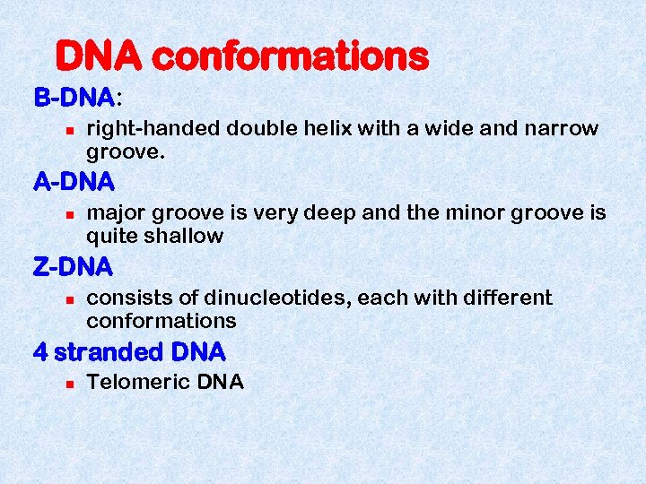 DNA conformations B-DNA: n right-handed double helix with a wide and narrow groove. A-DNA