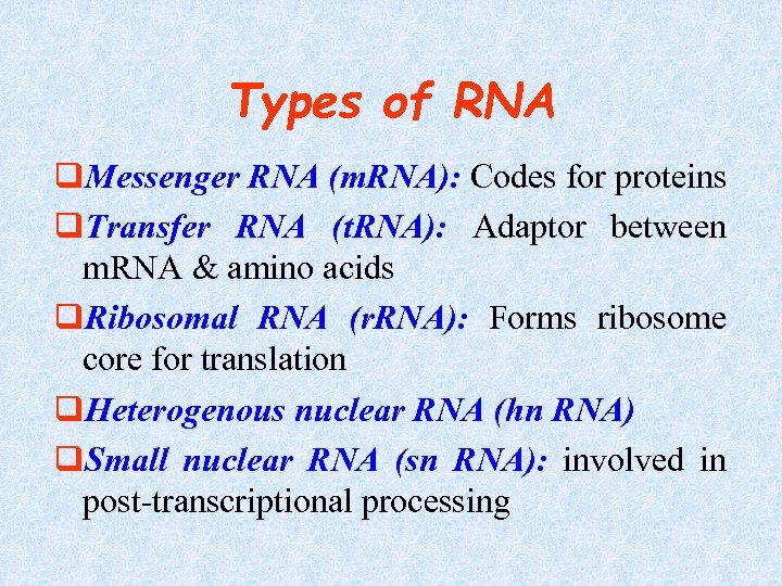 Types of RNA q. Messenger RNA (m. RNA): Codes for proteins q. Transfer RNA