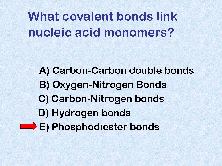 What covalent bonds link nucleic acid monomers? A) Carbon-Carbon double bonds B) Oxygen-Nitrogen Bonds