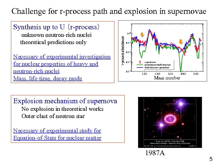 Challenge for r-process path and explosion in supernovae Synthesis up to U （r-process） 　　unknown