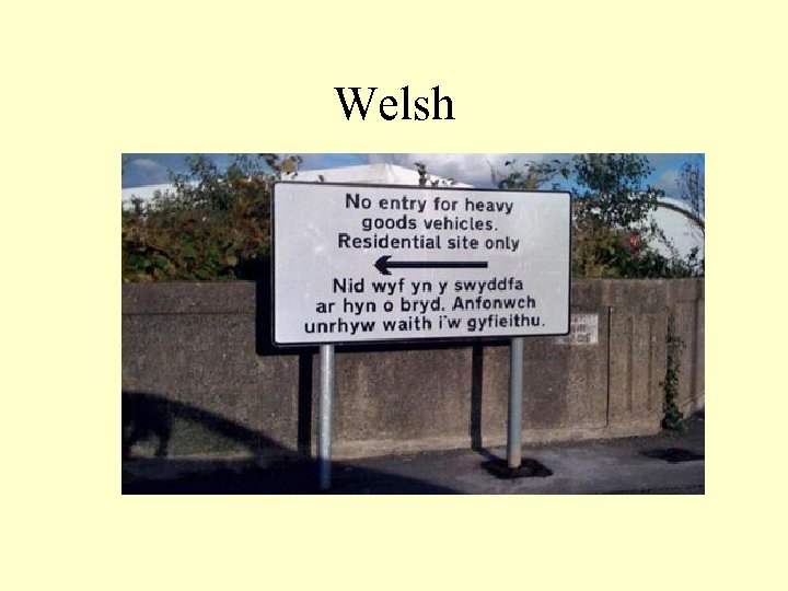 Welsh 