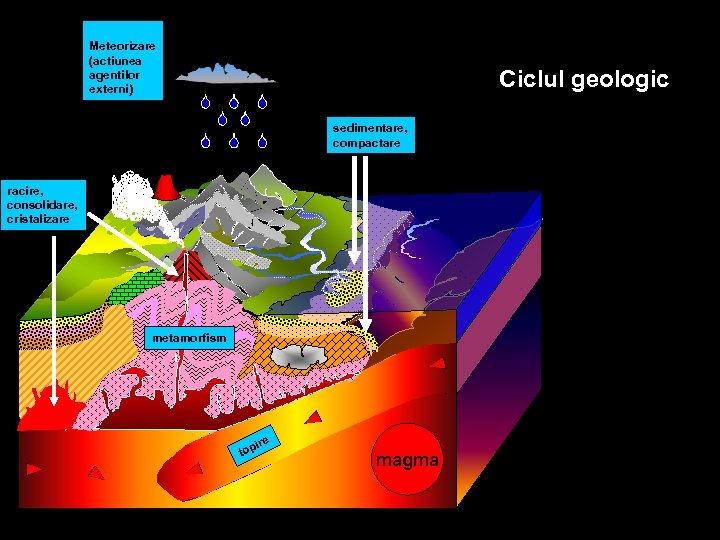 Meteorizare (actiunea agentilor externi) Ciclul geologic sedimentare, compactare racire, consolidare, cristalizare metamorfism ire top