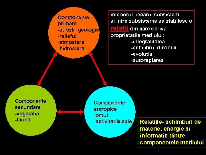 Componente primare -substr. geologic -relieful -atmosfera -hidrosfera Componente secundare -vegetatia -fauna interiorul fiecarui subsistem