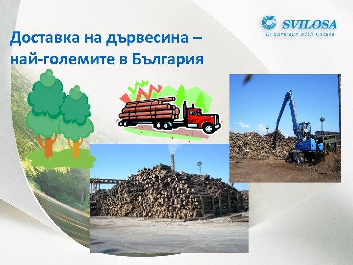 Доставка на дървесина – най-големите в България 