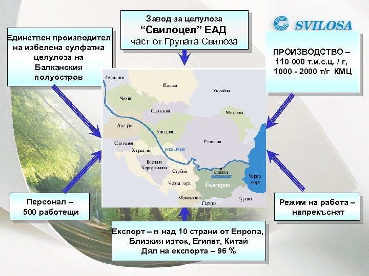 Завод за целулоза Единствен производител на избелена сулфатна целулоза на Балканския полуостров “Свилоцел” ЕАД